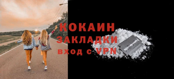 сатива Арсеньев