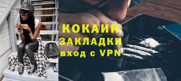 гидра Слюдянка