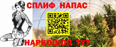 дмт Бийск