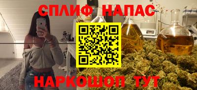дмт Бийск