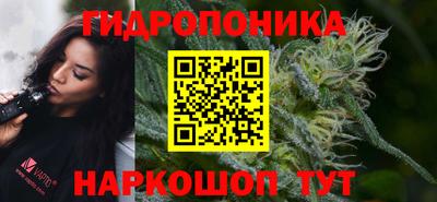 дмт Бийск