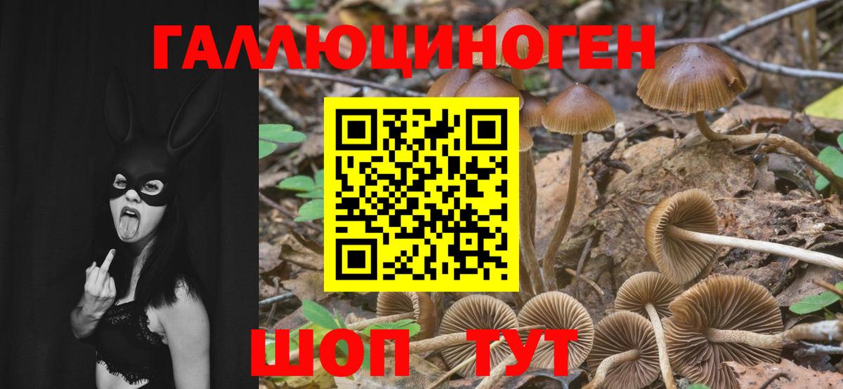 Галлюциногенные грибы прущие грибы Белорецк