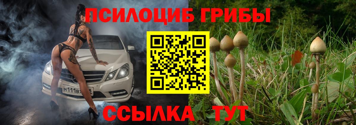 Псилоцибиновые грибы Psilocybe  Вход с VPN  Белорецк 